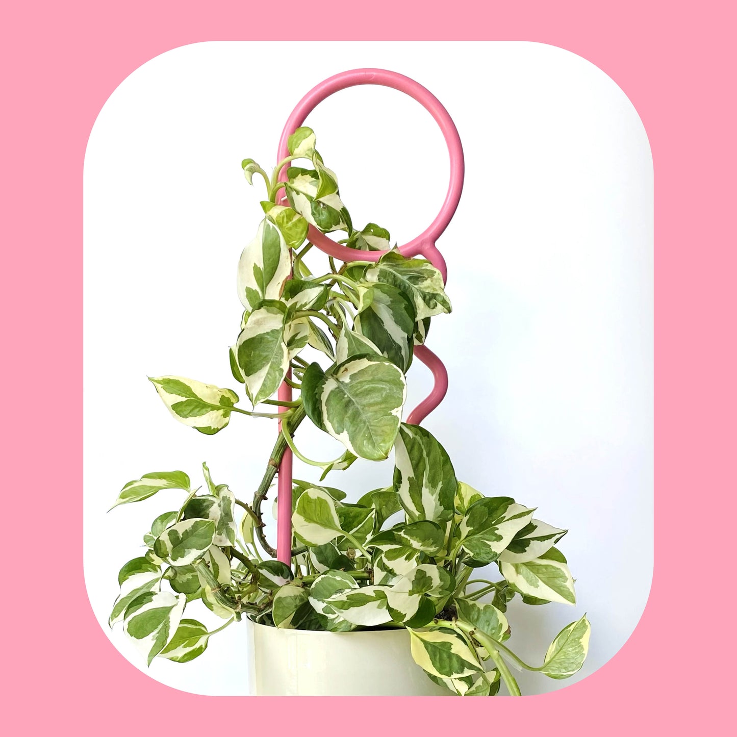 Fairy Floss Plant Pin